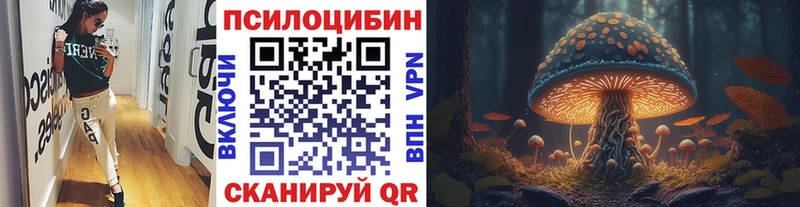 Псилоцибиновые грибы MAGIC MUSHROOMS  Благовещенск 